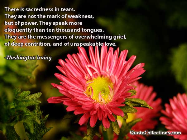 Washington Irving Quotes6